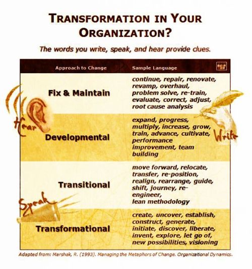 Transformation: How to Spot It in Your Organization The language you use are clues to your change approach: fix & Maintain, Developmental, Transitional, or Transformational